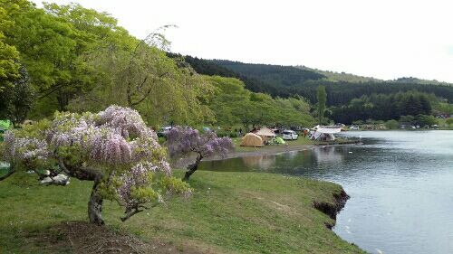 rblog-20170512221631-00.jpg