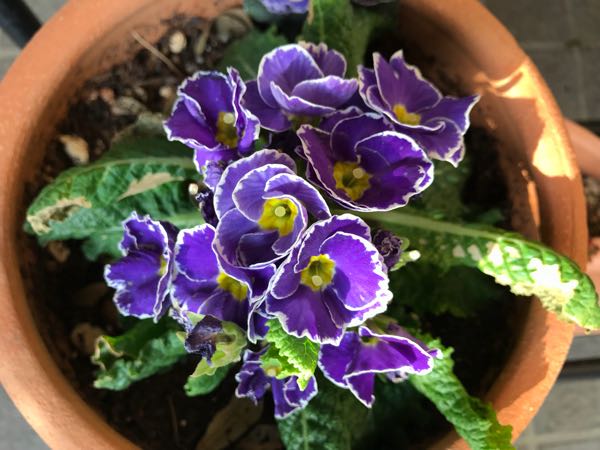 rblog-20180324203515-04.jpg