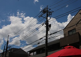 IMG_2840-15.jpg