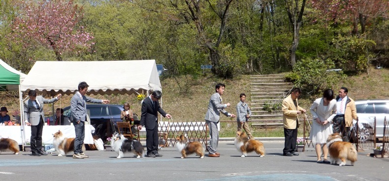 DSCF1389 - コピー.JPG