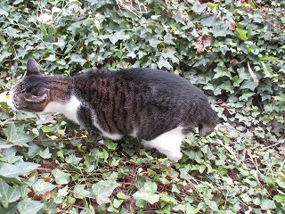 IMG_4671ss.jpg