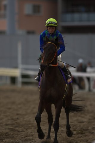 入場