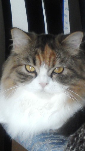 20131204104441.jpg