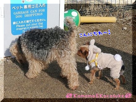 ご挨拶