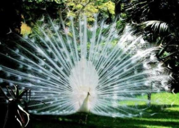 画像はイメージです