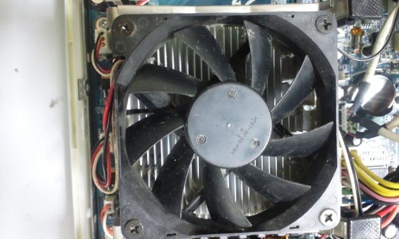 PAP_0030.JPG