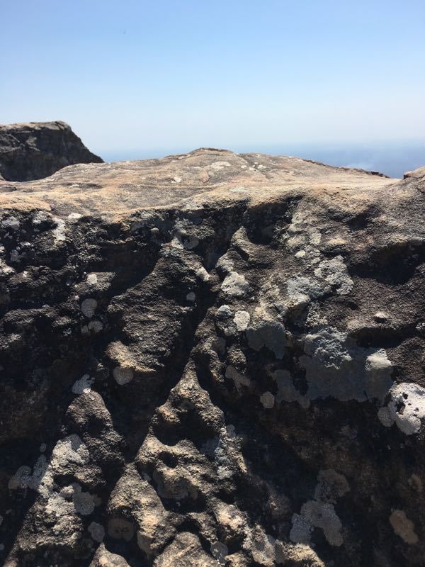 rblog-20190506112037-01.jpg