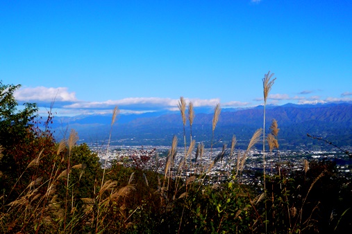 P1110364.jpg