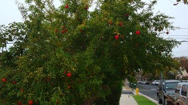 120926_062737copy.jpg