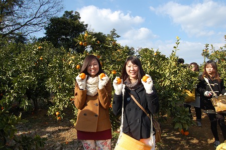 s-DSC_1152.jpg