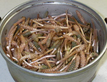 140318tukusi.jpg