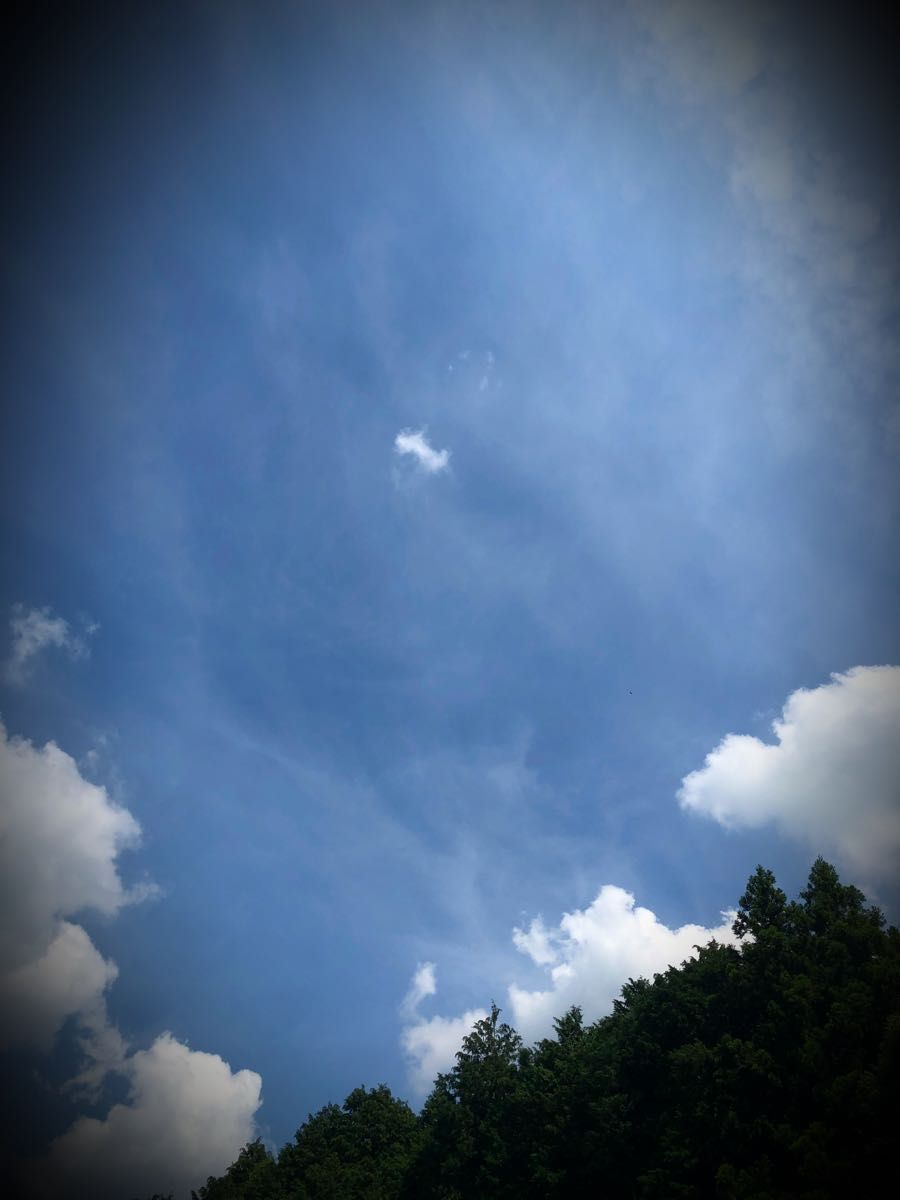 rblog-20180820201021-03.jpg
