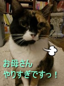 やりすぎ.JPG