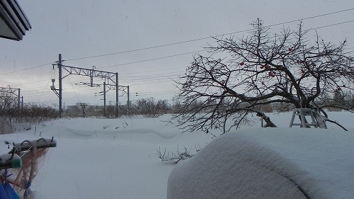 DSCN9630.jpg
