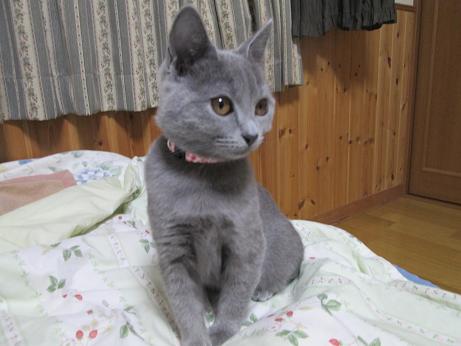 あ、ごはんだ！.JPG
