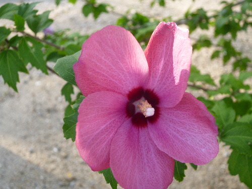 P1120757(1).JPG