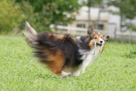 DSC03772.jpg