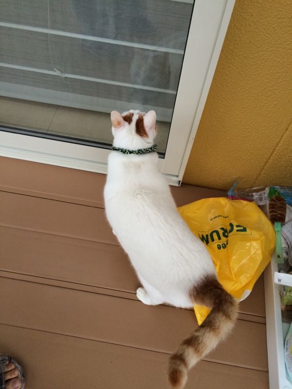 rblog-20150214154407-03.jpg