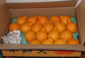 1箱をあけると.jpg