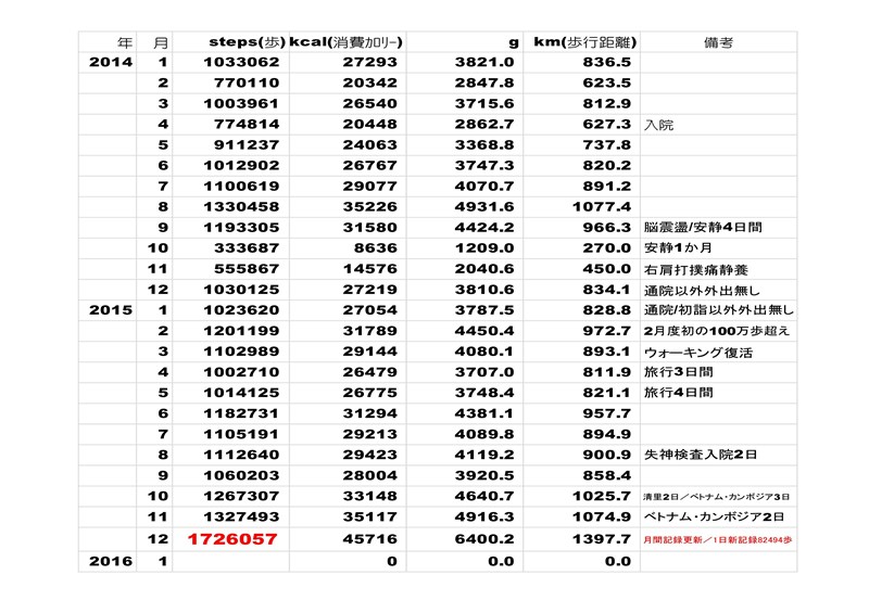 歩数記録 2015年12月 Microsoft PowerPoint - プレゼンテーション1.jpg