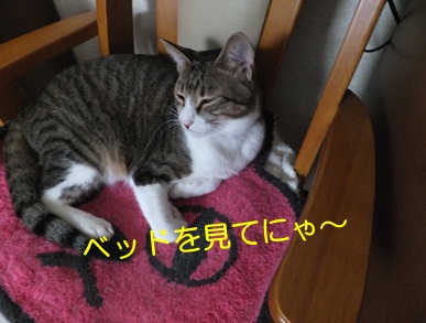20120924_2.jpg