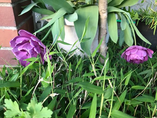 rblog-20180408182003-07.jpg