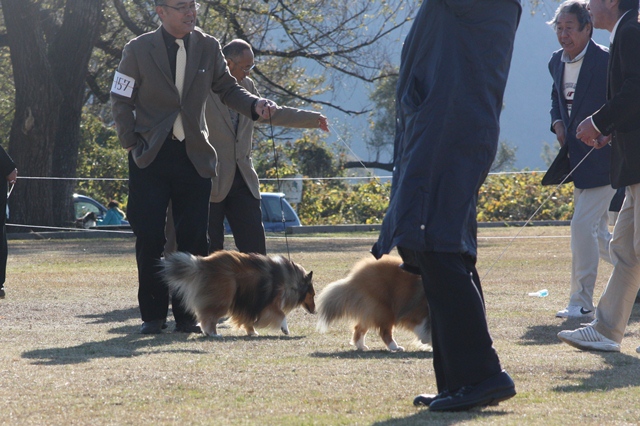 IMG_2508 - コピー.JPG