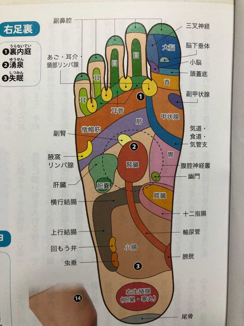 ダンサーによる足ツボ 石守俊輝 Molee のブログ 楽天ブログ