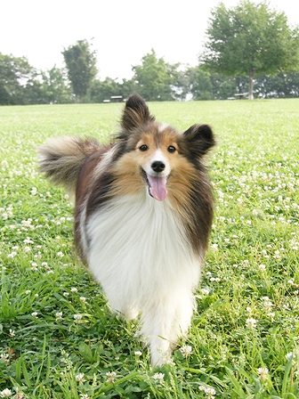 DSC04640.jpg