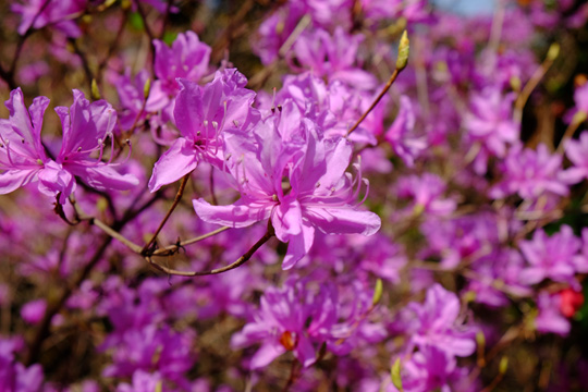 2016 03 31_2211.jpg