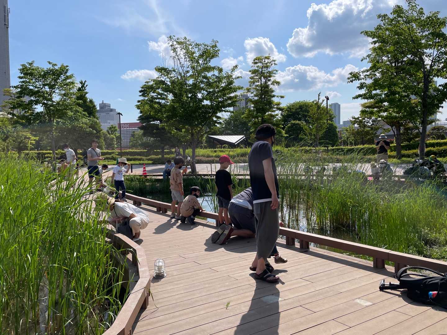 芝浦中央公園 品川シーズンテラス らいこのおうち 楽天ブログ