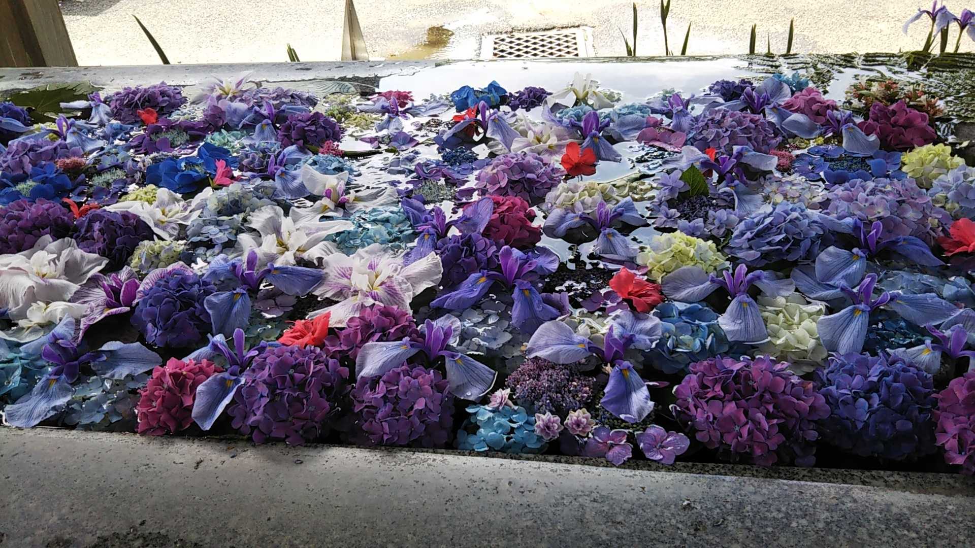 Happy new lifeに向けて　～　2025年新生活を夢見るまだっちの良い物探し　～