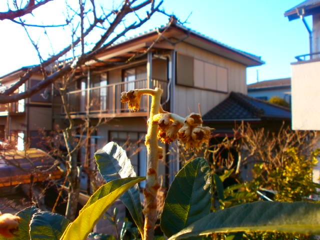 P1090113.JPG