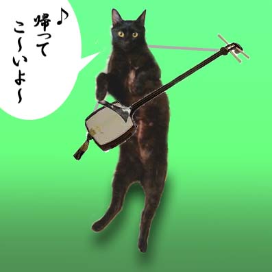 帰ってこいよ.jpg