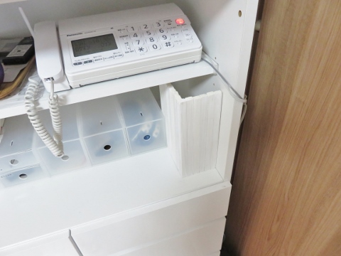 IMG_0500 (480x360).jpg