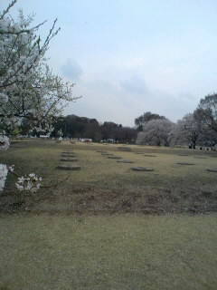 国分寺尼寺