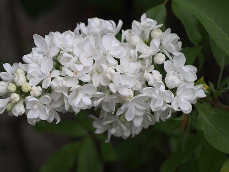 20140506-2