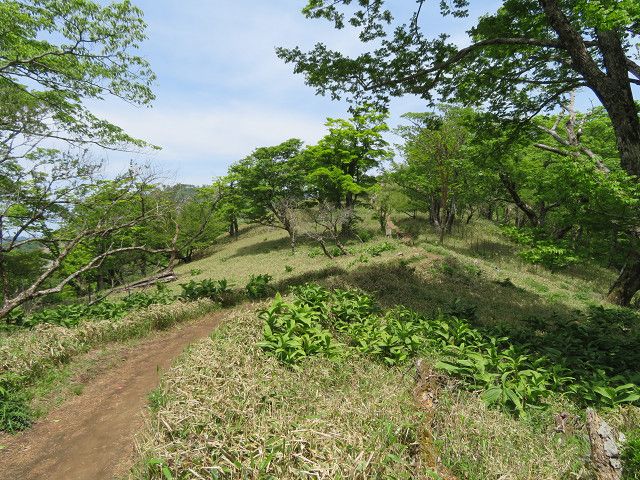 丹沢登山（2）塔ノ岳山頂→丹沢山山頂 | 星とカワセミ好きのブログ - 楽天ブログ