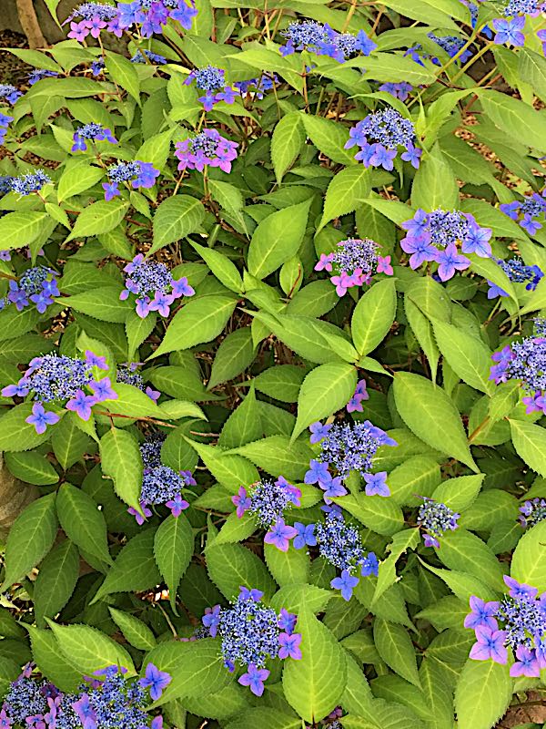 rblog-20180603201030-02.jpg