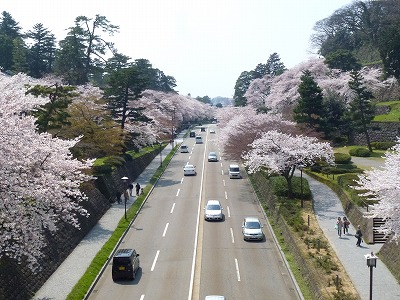 P1090790.jpg
