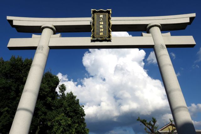 日本最古のお稲荷さん 働く女性の守り神 お散歩うさぎさんのブログ 京都 いろ色 楽天ブログ