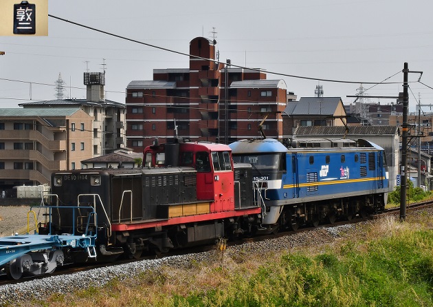 DSC_2560.JPG