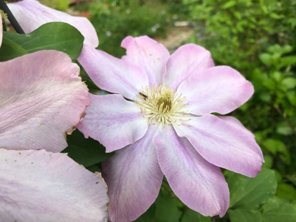 rblog-20180429182036-09.jpg
