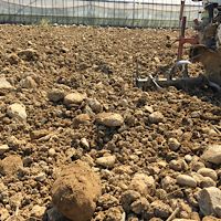 盛り土畑の石を拾う ゴムバケツよい 農業ブログ 丸七園 楽天ブログ 盛り土畑の石を拾う ゴムバケツよい 農業ブログ 丸七園 楽天ブログ