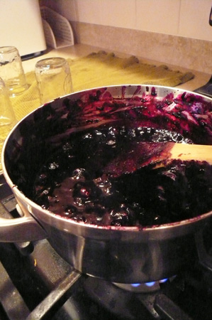blueberries 04.jpg