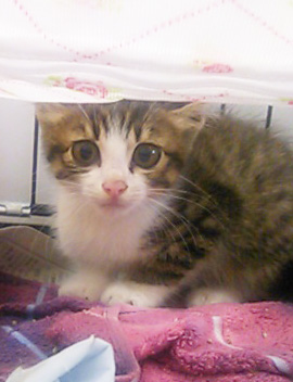 20130612c.jpg