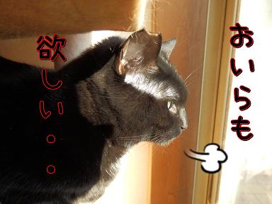 おいら.JPG