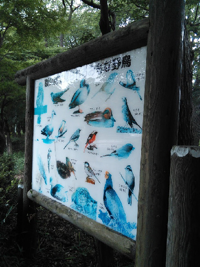 20150614(5)