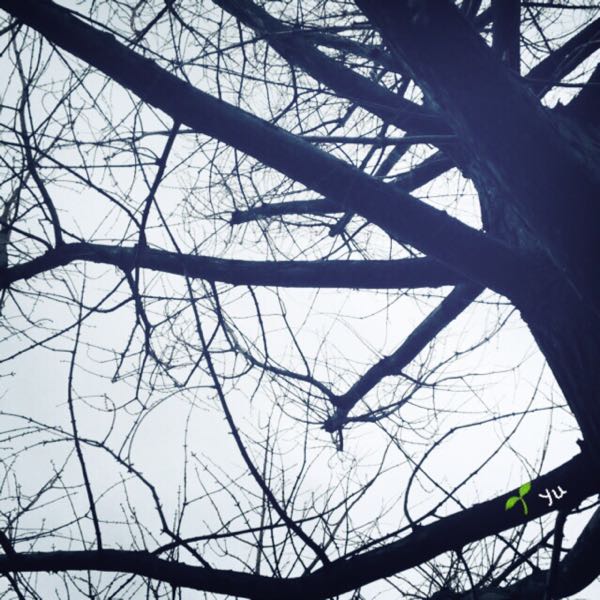 rblog-20180202233740-01.jpg