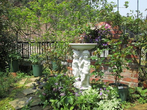 IMG_0775.JPG
